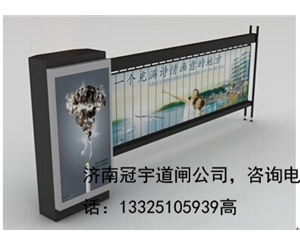 枣庄威海400万高清车牌摄像机厂家，济南冠宇智能科技